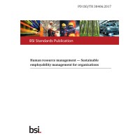 BS PD ISO/TR 30406:2017