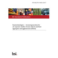 BS PD ISO/TR 19601:2017