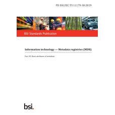 BS PD ISO/IEC TS 11179-30:2019