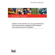 BS PD ISO/TR 21808:2021